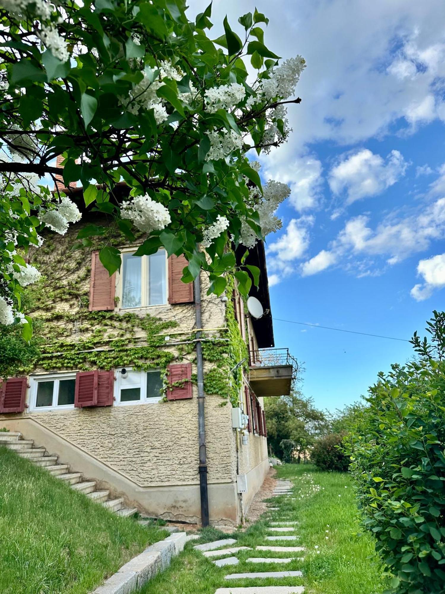 Apartamento Cloos - Elegant With Panoramic View